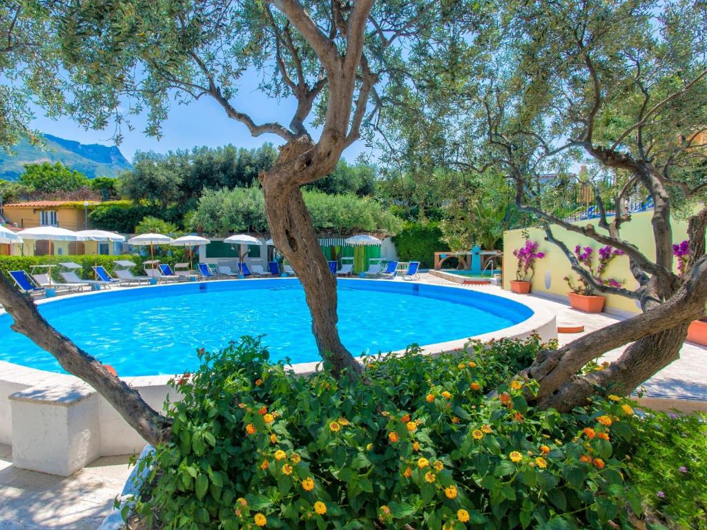 hotel-la-scogliera-ischia-forio-piscina-esterna