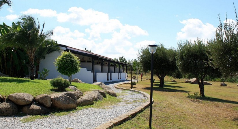 Villaggio-dolomiti-sul-mare-esterno2-tSa-825X450