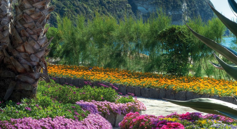 Parco_delle_Agavi_Esterno-tSa-825X450