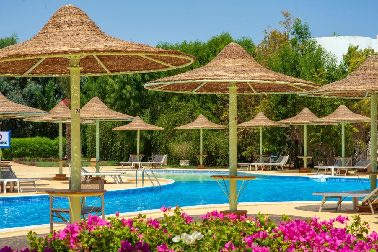 sierra-sharm-el-sheikh_172006511111