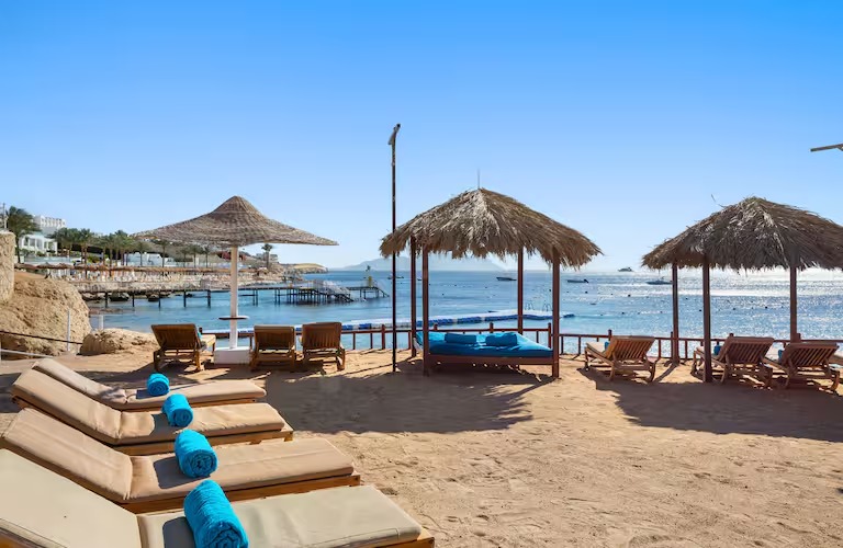 3718e1c9-5e2c-40aa-8b8a-8bb7ac2a92c6