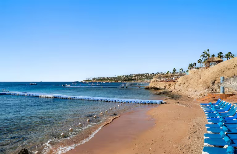 6155b452-18c6-4b10-8eeb-a2decbd878e1