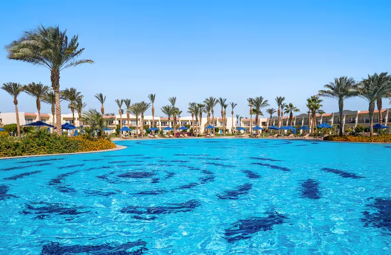 80622238-815d-4f22-ac35-2d4080e7a781