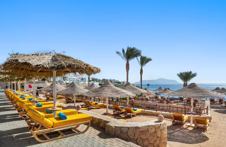 a09e6226-5599-4a45-b8d6-4638851c82e9