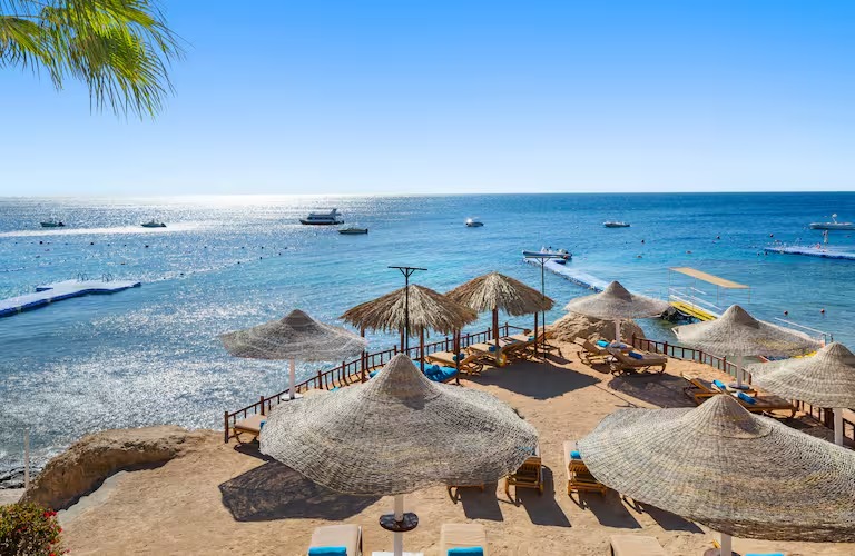 e3d096df-c4af-4f31-95ed-836302d5bb82