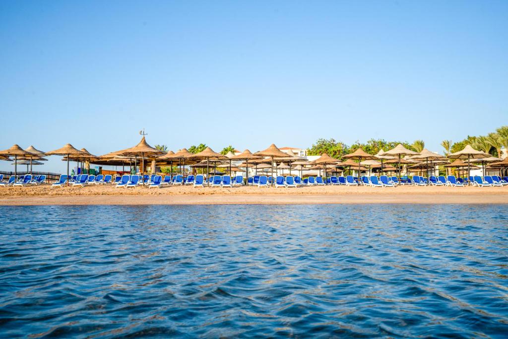 ivy-cyrene-sharm-resort_170815279717